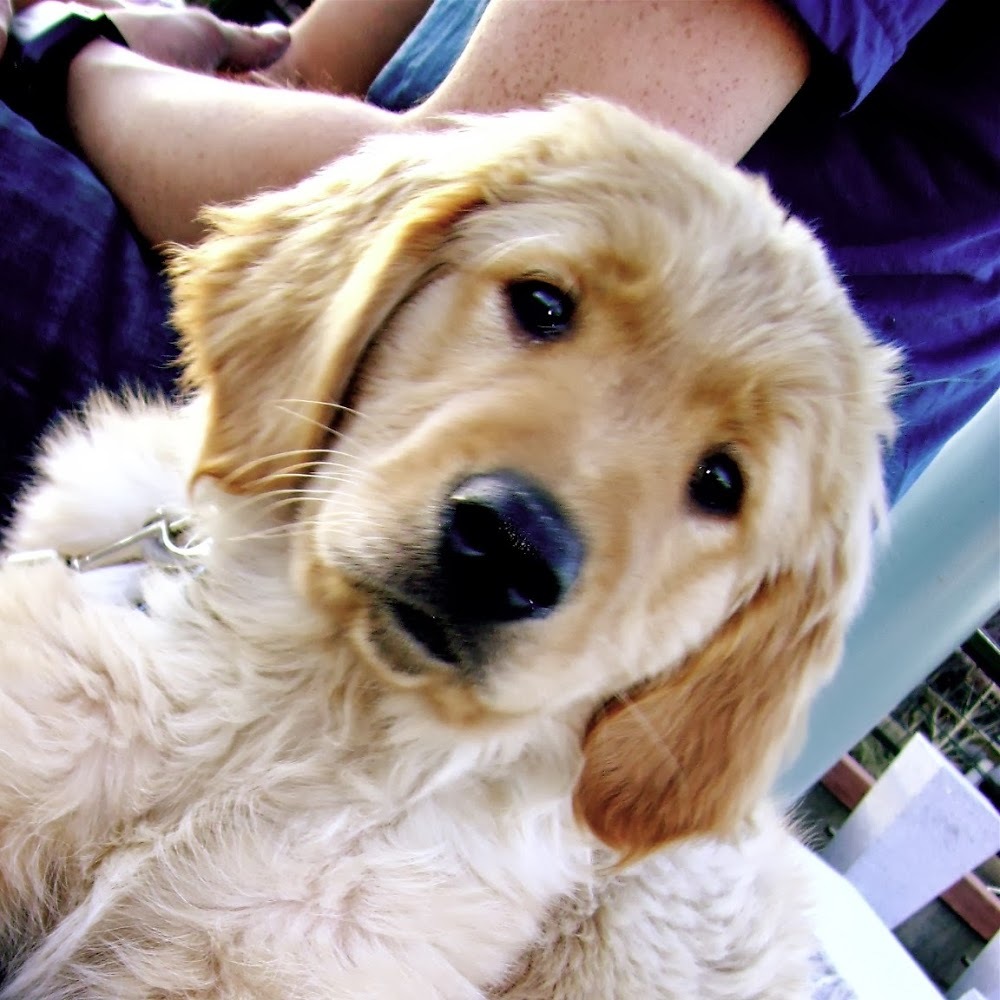 Meet your Posher, Erik